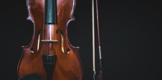 bowedinstrument18533241280600x382