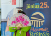 Hősök, újítók, felfedezők dsc81381copy600x440