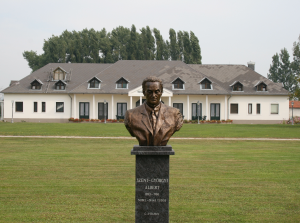 iskolalakjifj1600x446 iskolalakjifj1600x446