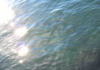 Az irodalom rendhagyó karneválja gaborjakadamfotokeledori500x888