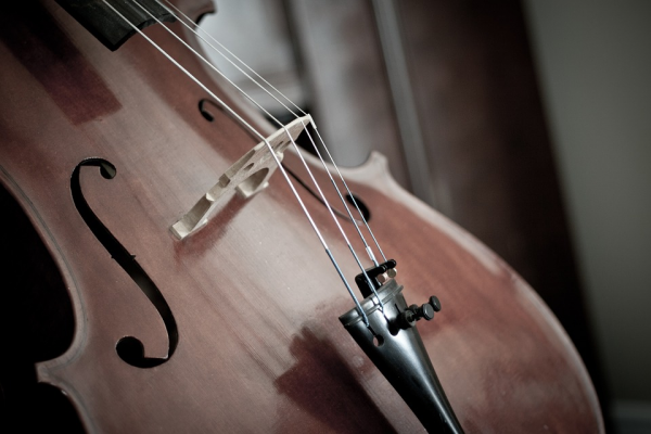 cello110981960720600x400 cello110981960720600x400