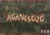 Agancsozó – TÁRSASJÁTÉK