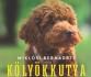 Kölyökkutya