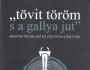 …tövit töröm s a gallya jut… – Magyar irodalom és politikai identitás9786156436542